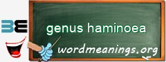 WordMeaning blackboard for genus haminoea